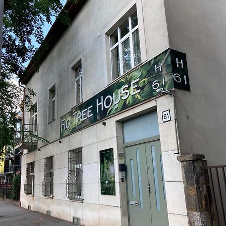 Fig Tree House Apartment Budapest Exterior photo